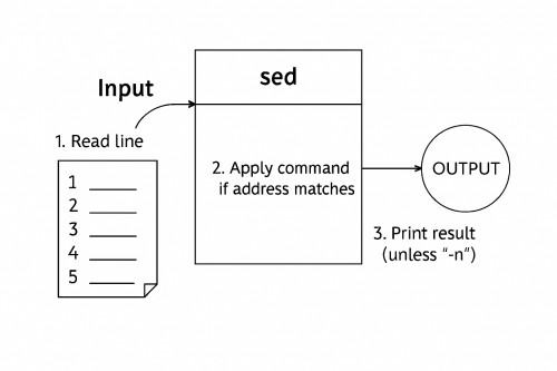 Procedura działania sed